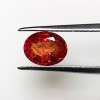 Padparadscha Sapphire-8X6.12mm-1.49CTS-Oval